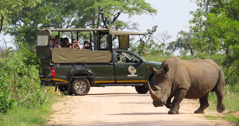 Kruger Safari Adventure