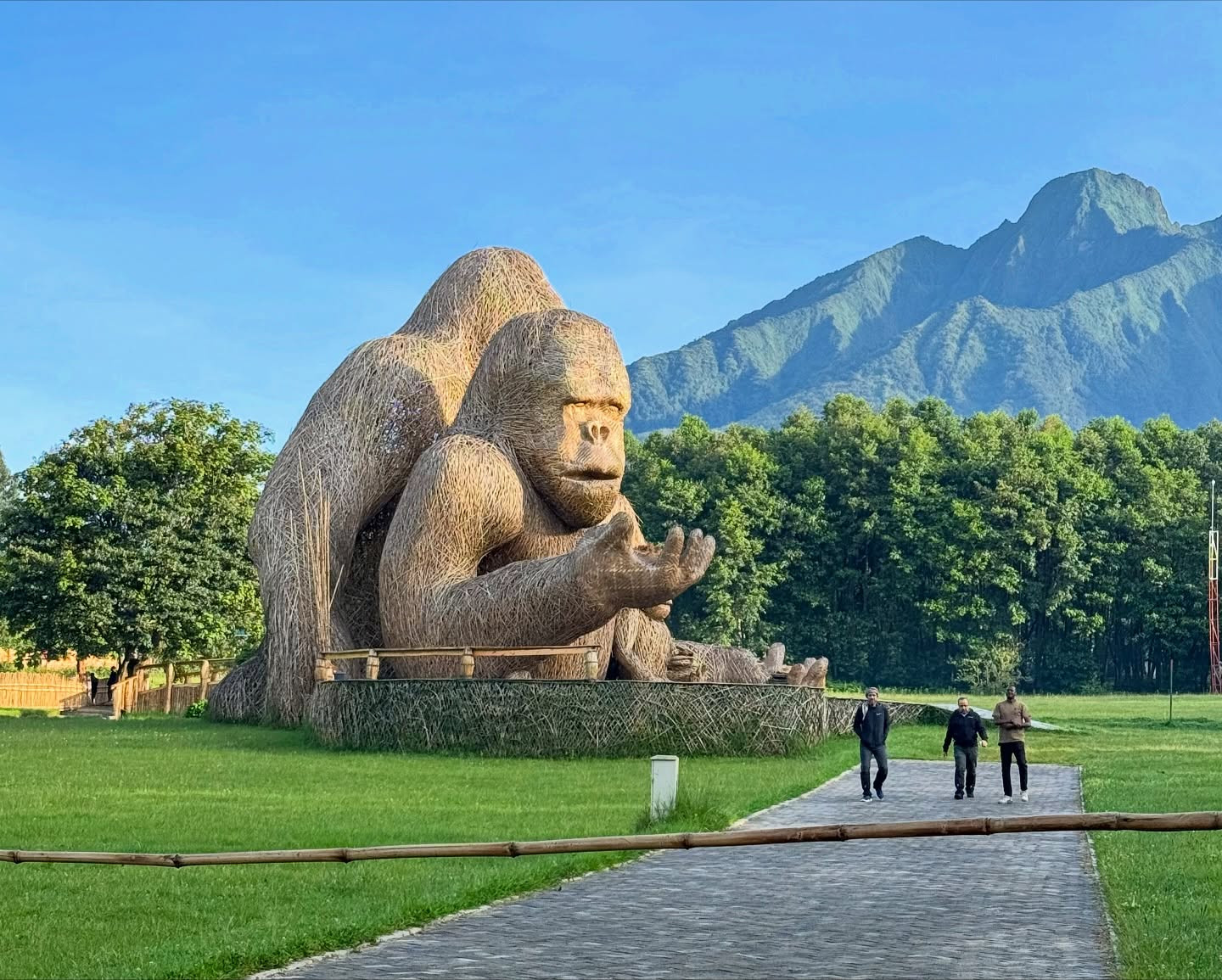 4 Days Rwanda Gorilla Trekking Safari