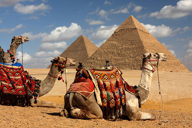 Egypt 4 Nights/5Days