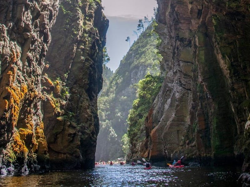 Garden Route Splendour 6 Days