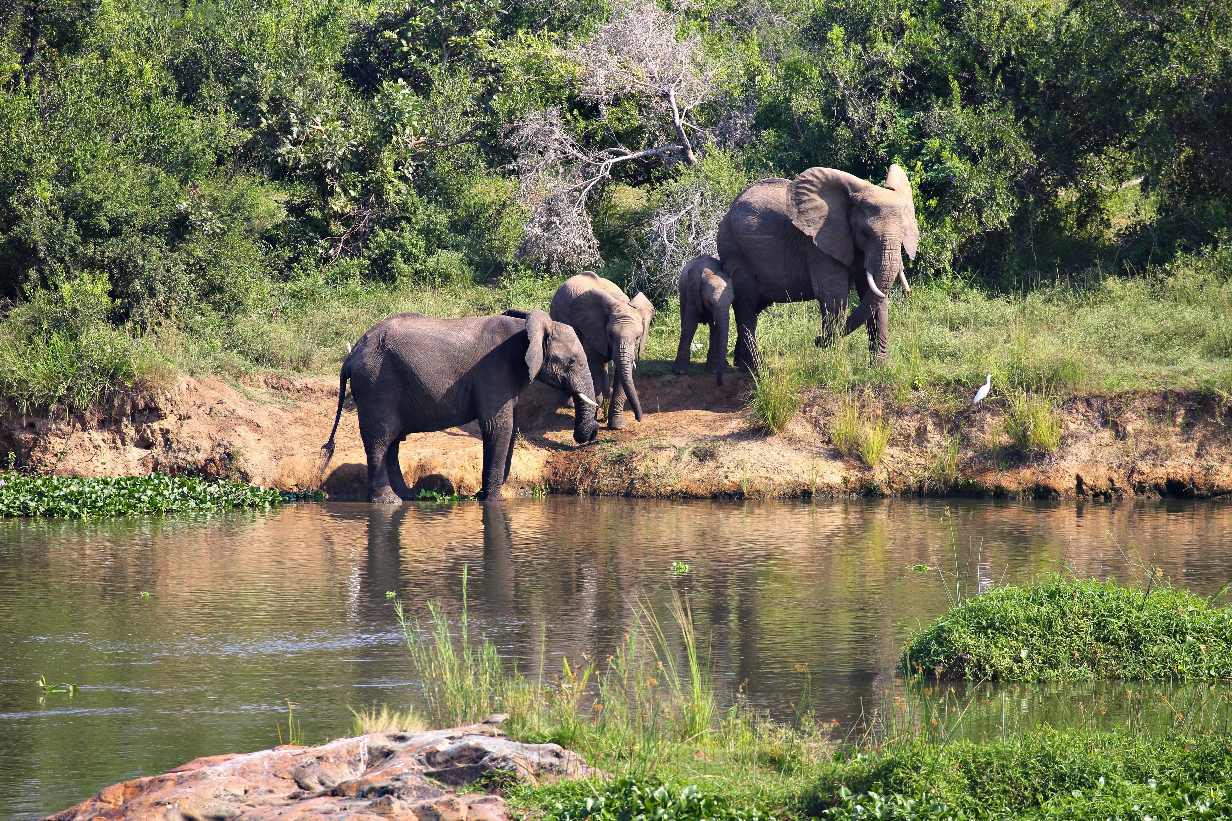Kruger National Park
