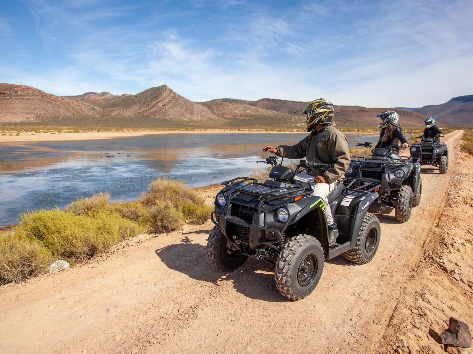 Winter Safari Awaits