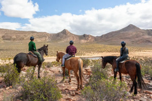 Horseback Full Day Safari
