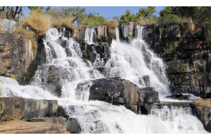 Nyanga