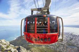 Table Mountain, Cape Point ,Boulder's Penguins &World of Birds