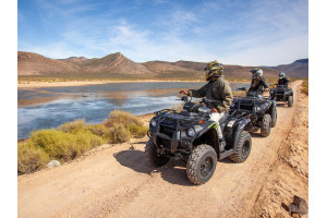 Winter Safari Awaits